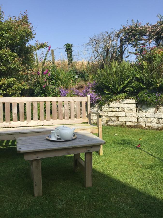 Ramsey House - Luxury Licensed B&B - Parking And Guest Lounge St. Davids  Kültér fotó