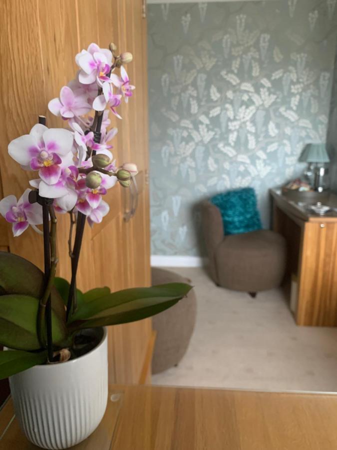 Ramsey House - Luxury Licensed B&B - Parking And Guest Lounge St. Davids  Kültér fotó